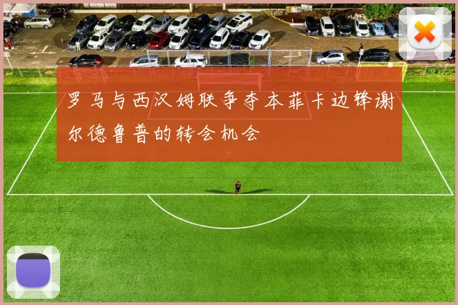 罗马与西汉姆联争夺本菲卡边锋谢尔德鲁普的转会机会